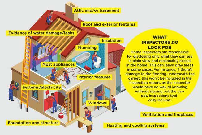 Mold Inspector Albany Ny